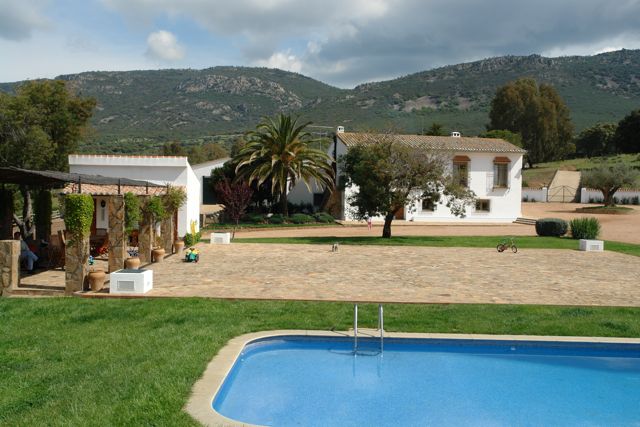 Swimming pool and Garden